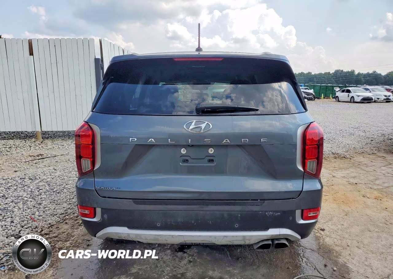 2020 Hyundai Palisade Sel VIN:KM8R34HE9LU132219 - 6