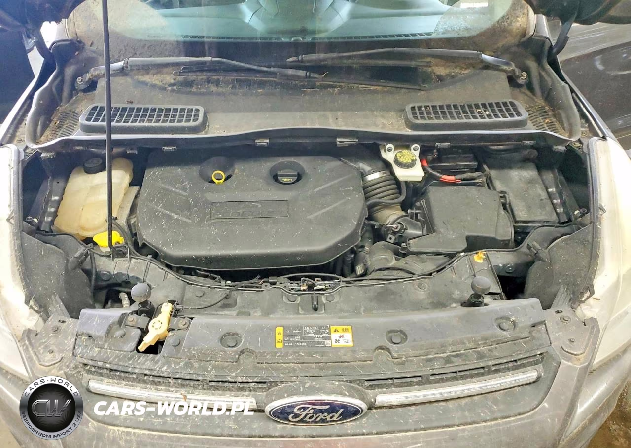 2013 Ford Escape Se VIN:1FMCU9G98DUB29575 - 12