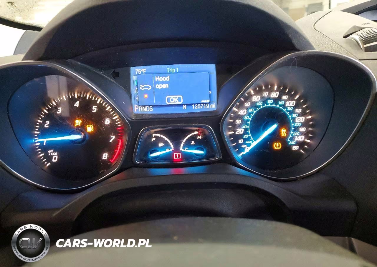 2013 Ford Escape Se VIN:1FMCU9G98DUB29575 - 9