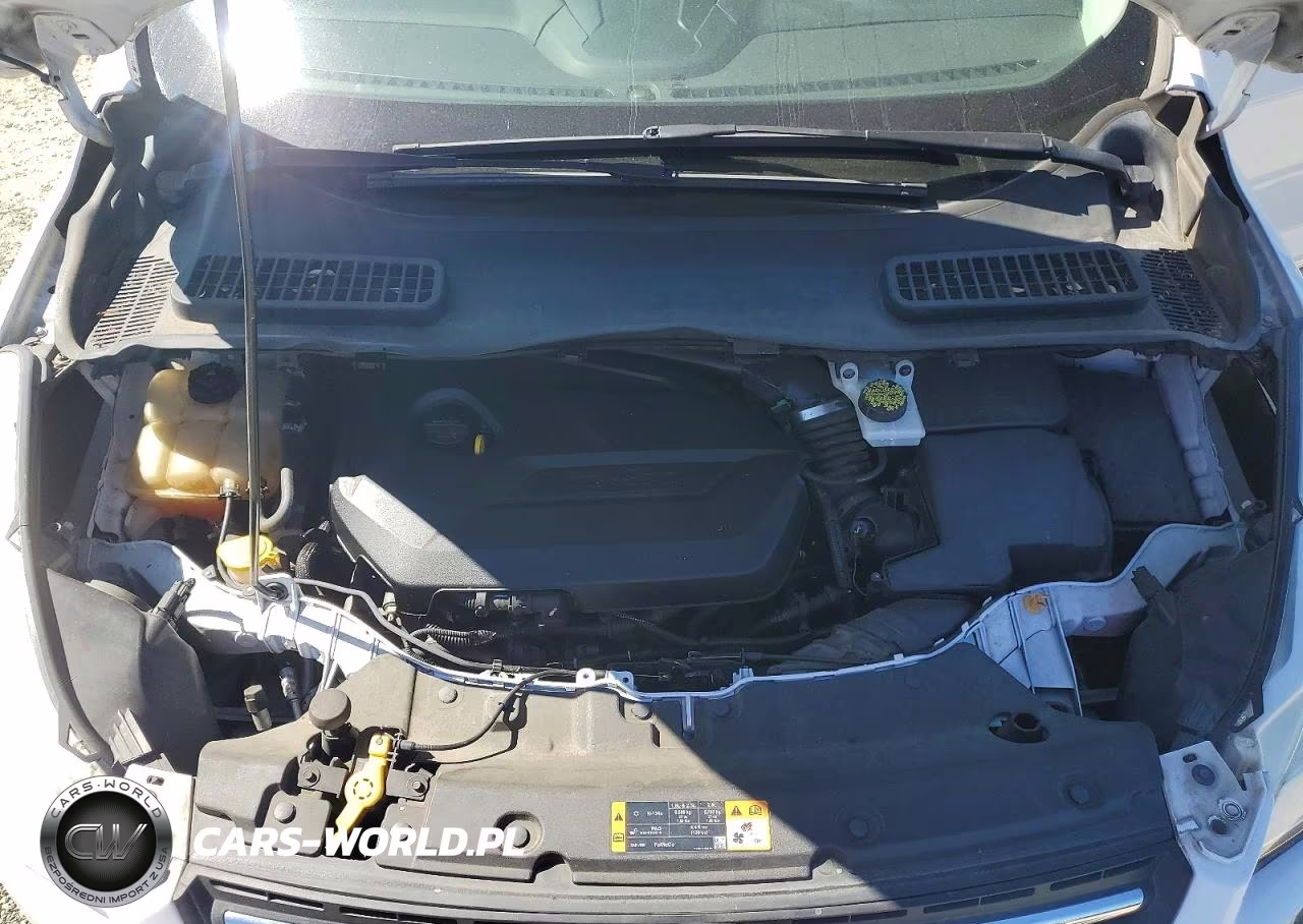 2014 Ford Escape Se VIN:1FMCU0GX9EUA78289 - 11