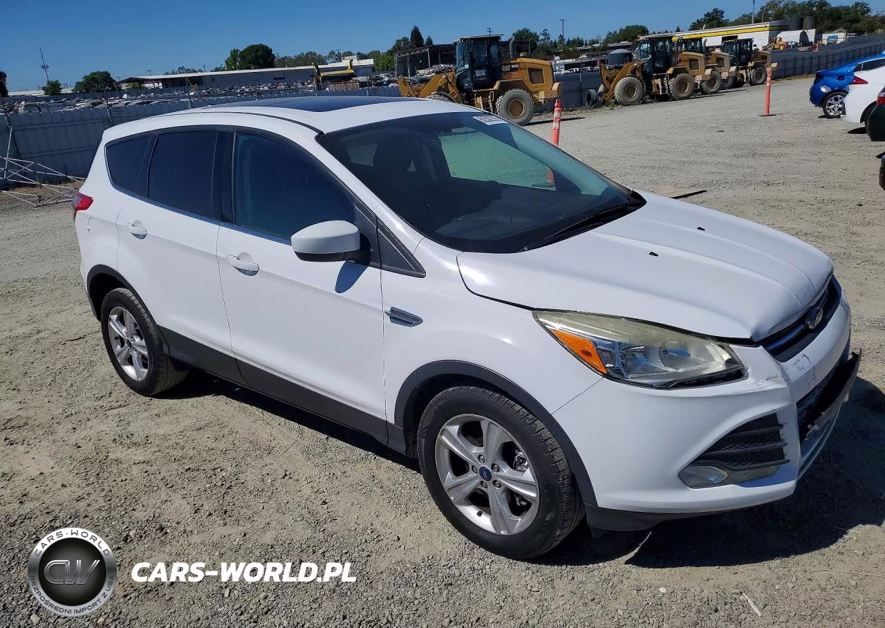 2014 Ford Escape Se VIN:1FMCU0GX9EUA78289 - 4
