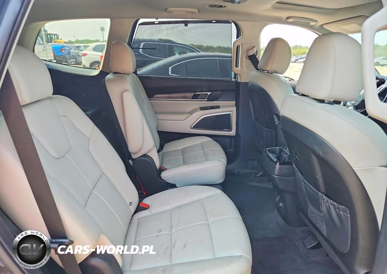 2020 Kia Telluride Ex VIN:5XYP34HCXLG067618 - 11