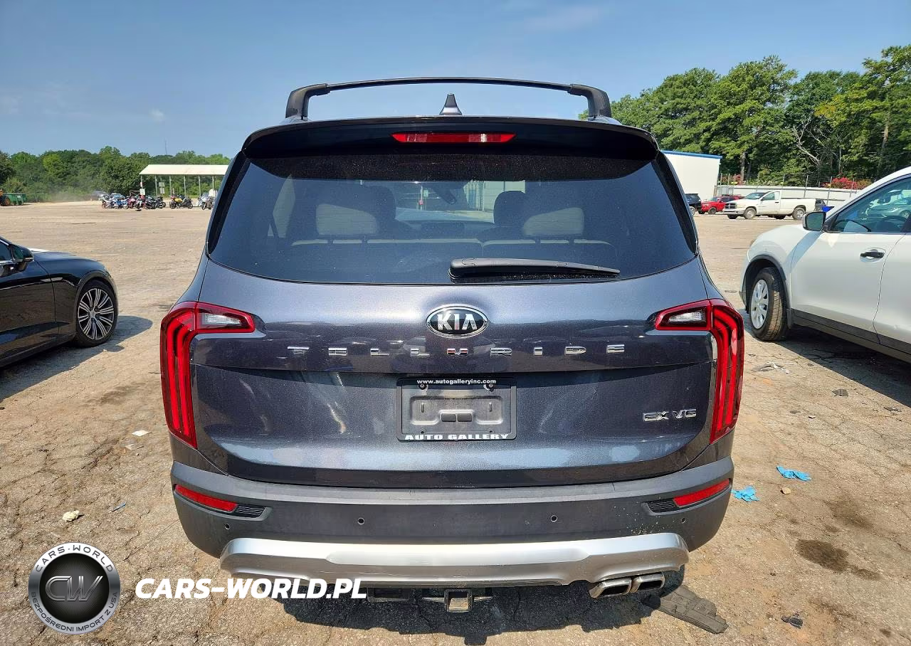 2020 Kia Telluride Ex VIN:5XYP34HCXLG067618 - 6