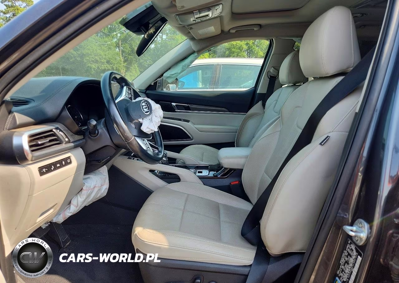 2020 Kia Telluride Ex VIN:5XYP34HCXLG067618 - 7