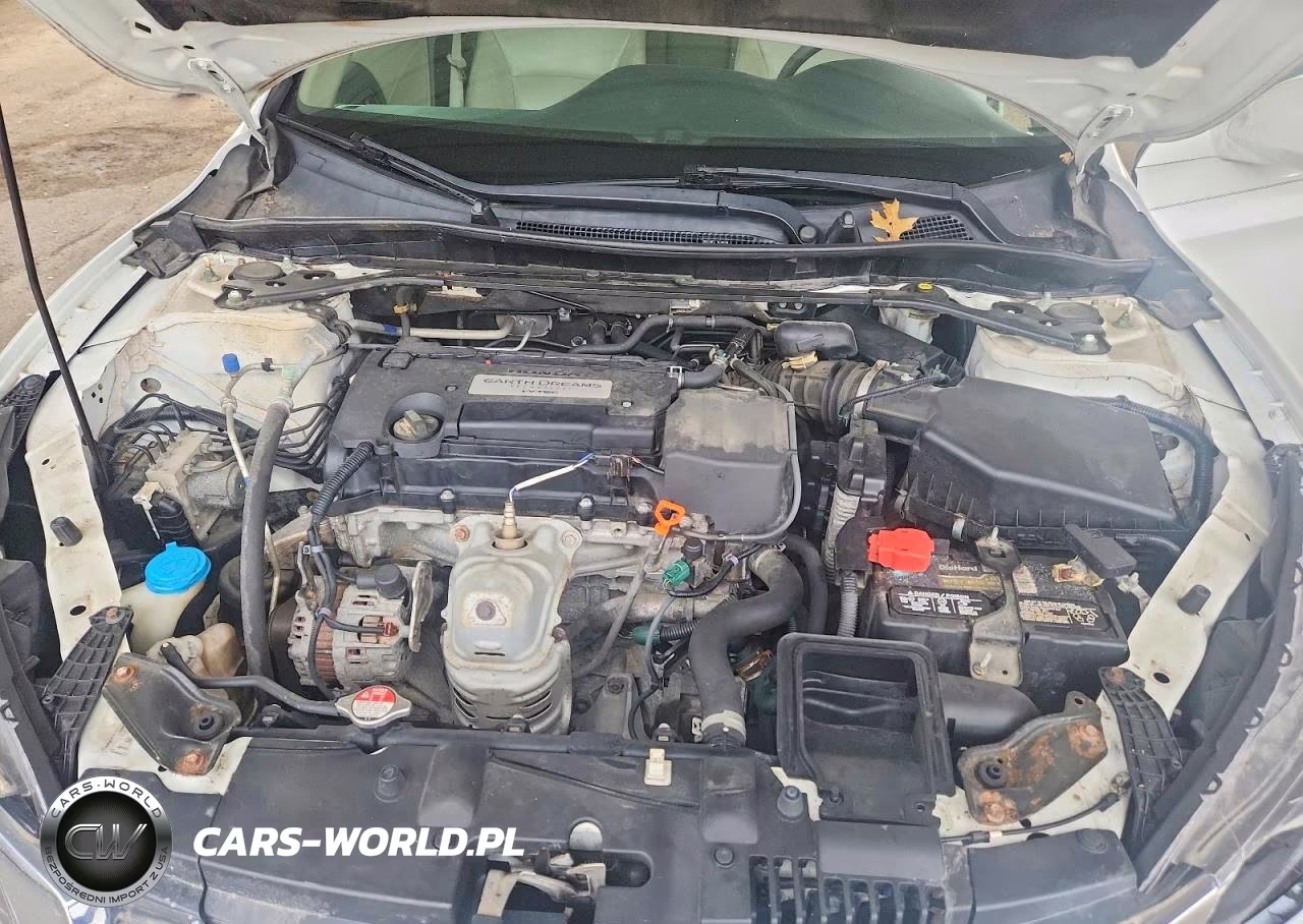 2015 Honda Accord Exl VIN:1HGCR2F81FA223681 - 11