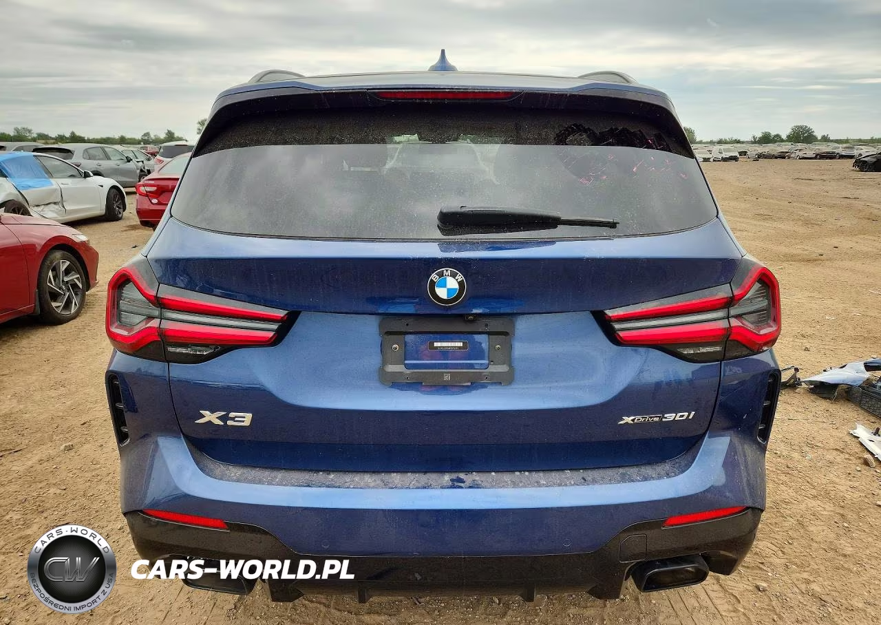 2023 BMW X3 xDrive30I VIN:5UX53DP06P9P76194 - 6