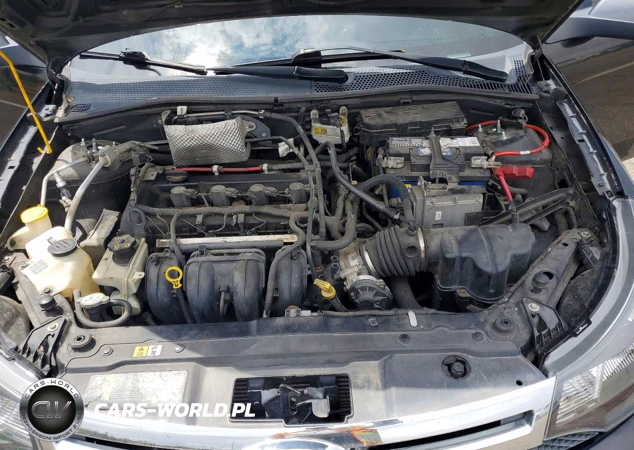 2009 Ford Focus Ses VIN:1FAHP36N99W255605 - 11