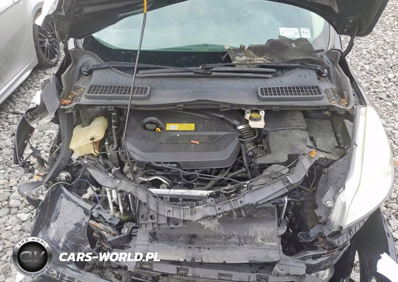 2014 Ford Escape Se VIN:1FMCU0GX3EUB13571 - 12