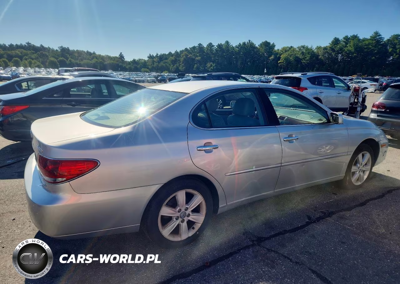 2006 Lexus Es 330 VIN:JTHBA30G365169959 - 3