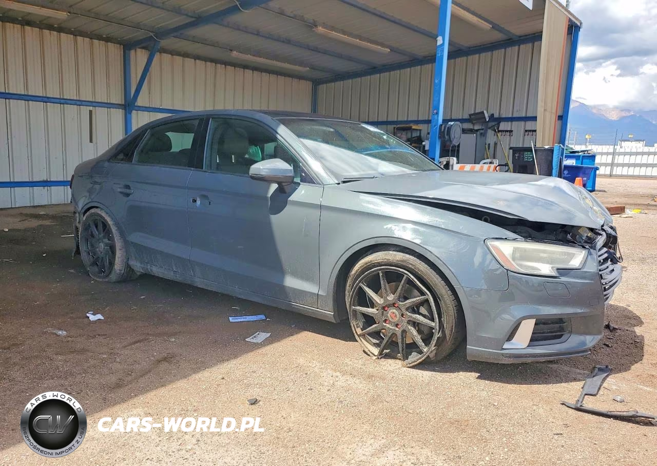 2017 Audi A3 Premium VIN:WAUAUGFF6H1041345 - 4