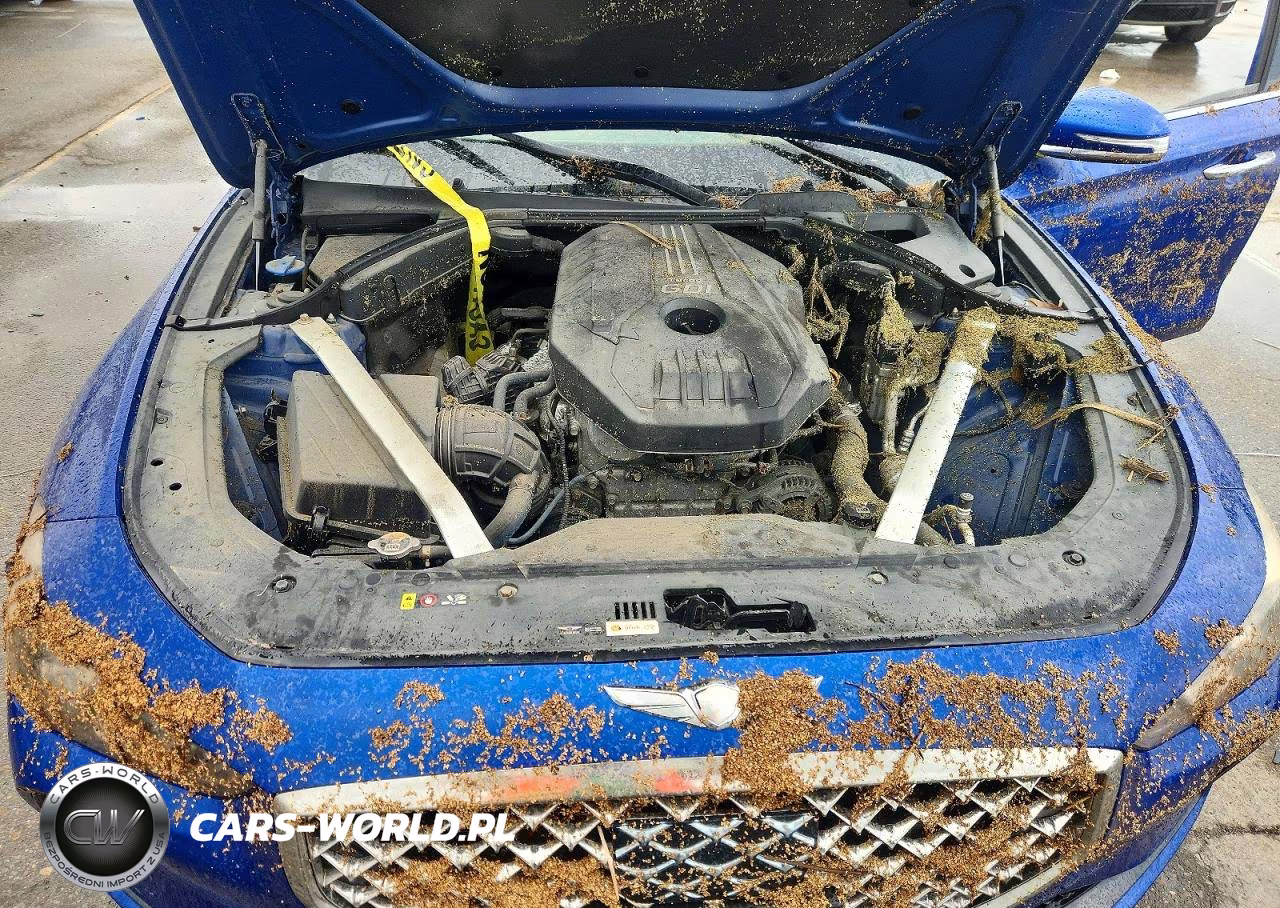 2019 Genesis G70 Advanced VIN:KMTG64LAXKU036543 - 11