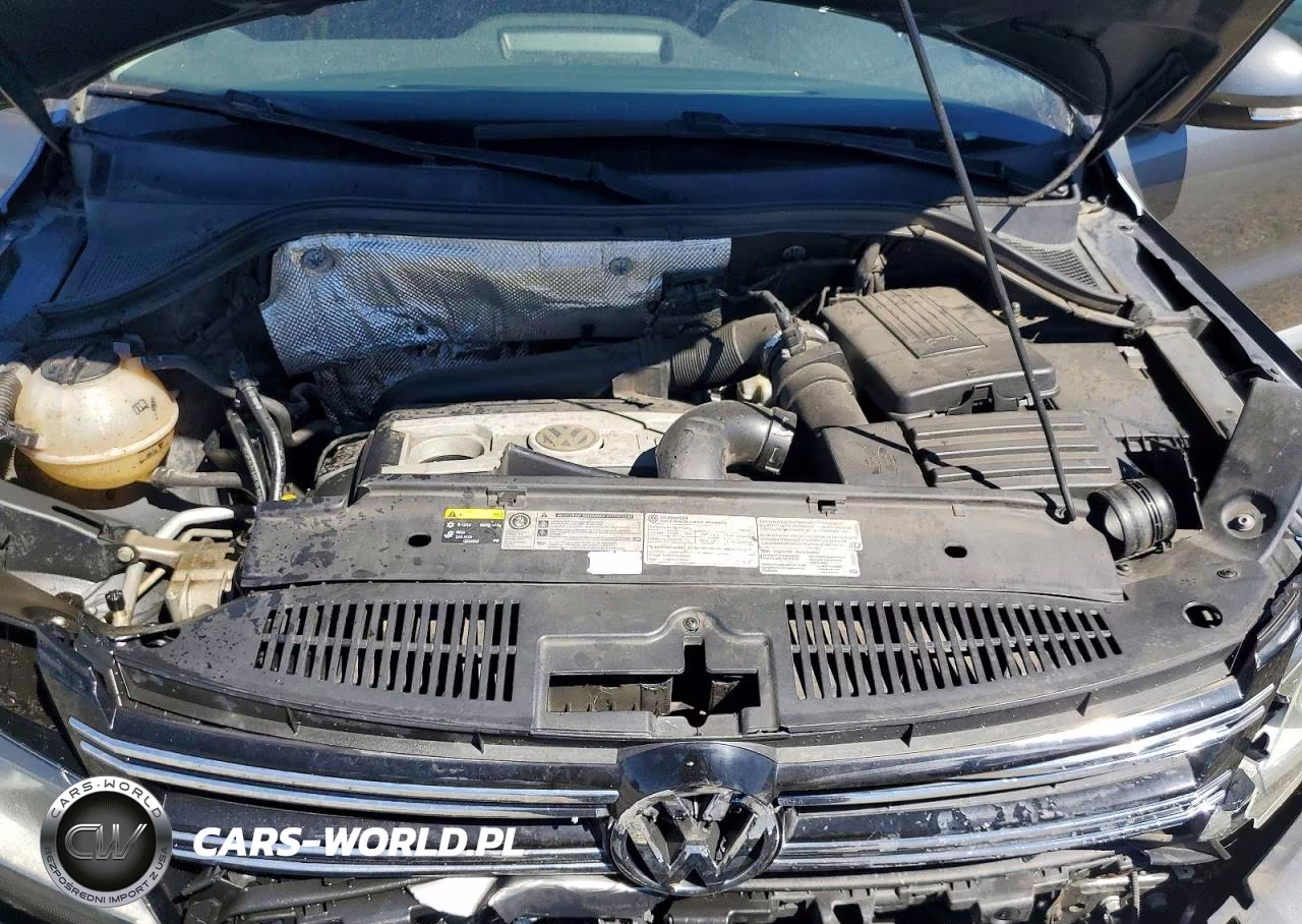2014 Volkswagen Tiguan S VIN:WVGBV3AX5EW621354 - 11