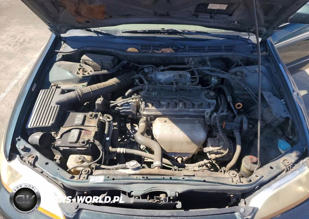 2001 Honda Accord Lx VIN:JHMCG66551C014019 - 11