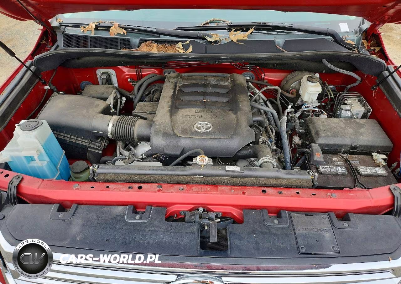 2021 Toyota Tundra 1794 Edition VIN:5TFAY5F18MX039572 - 11