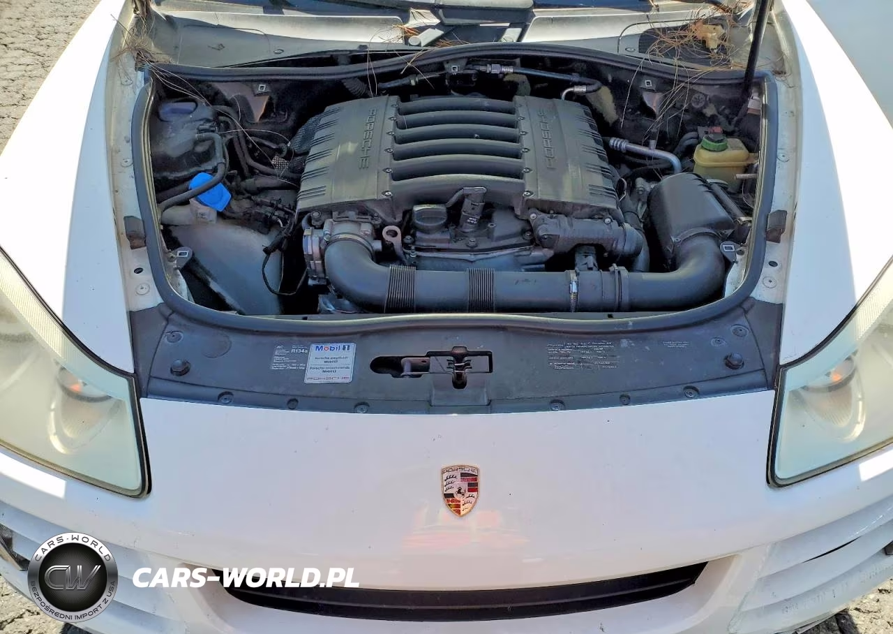 2009 Porsche Cayenne VIN:WP1AA29P59LA07629 - 11