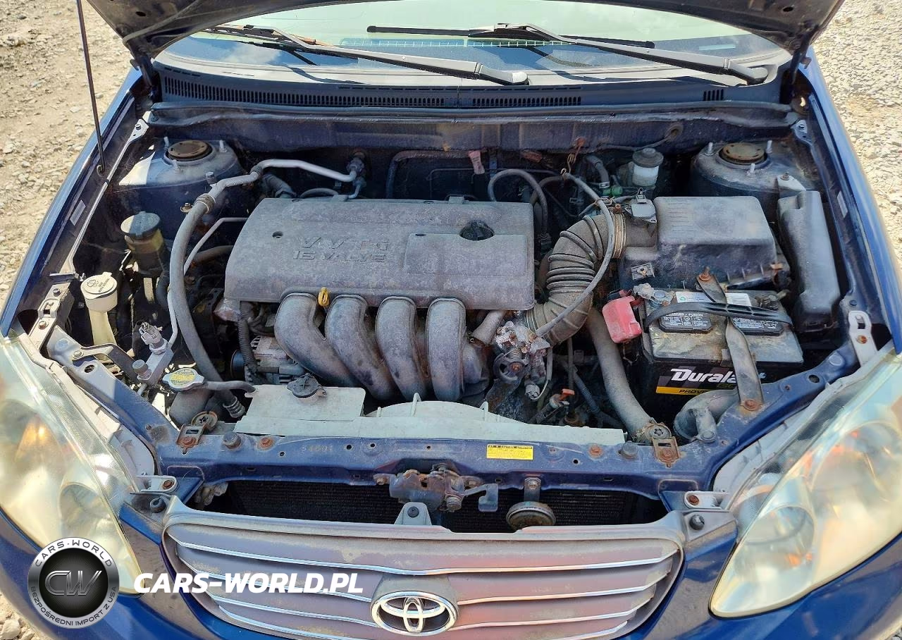 2003 Toyota Corolla Ce VIN:1NXBR32E53Z009181 - 11