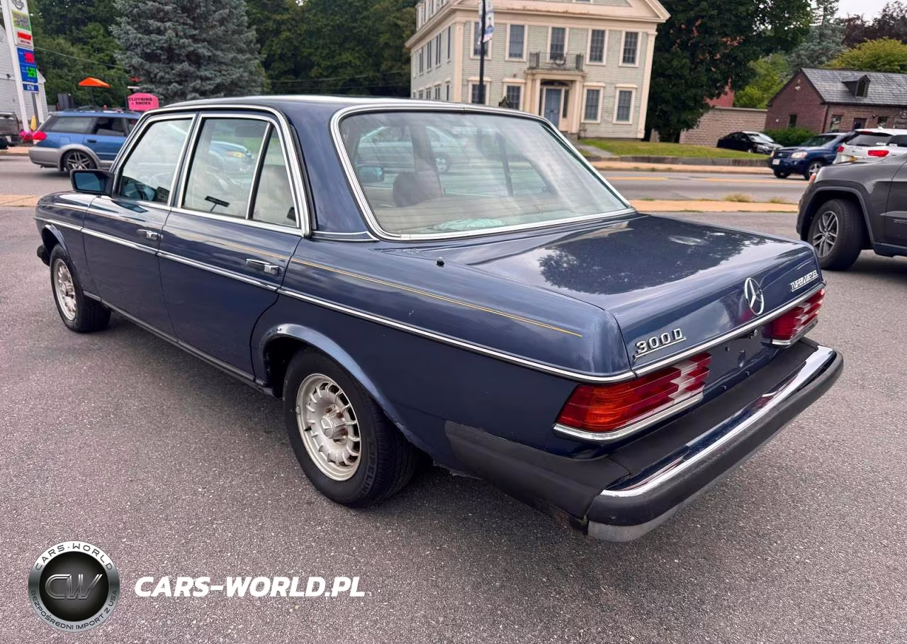 1984 Mercedes-Benz 300 Dt VIN:WDBAB33A9EA038539 - 3