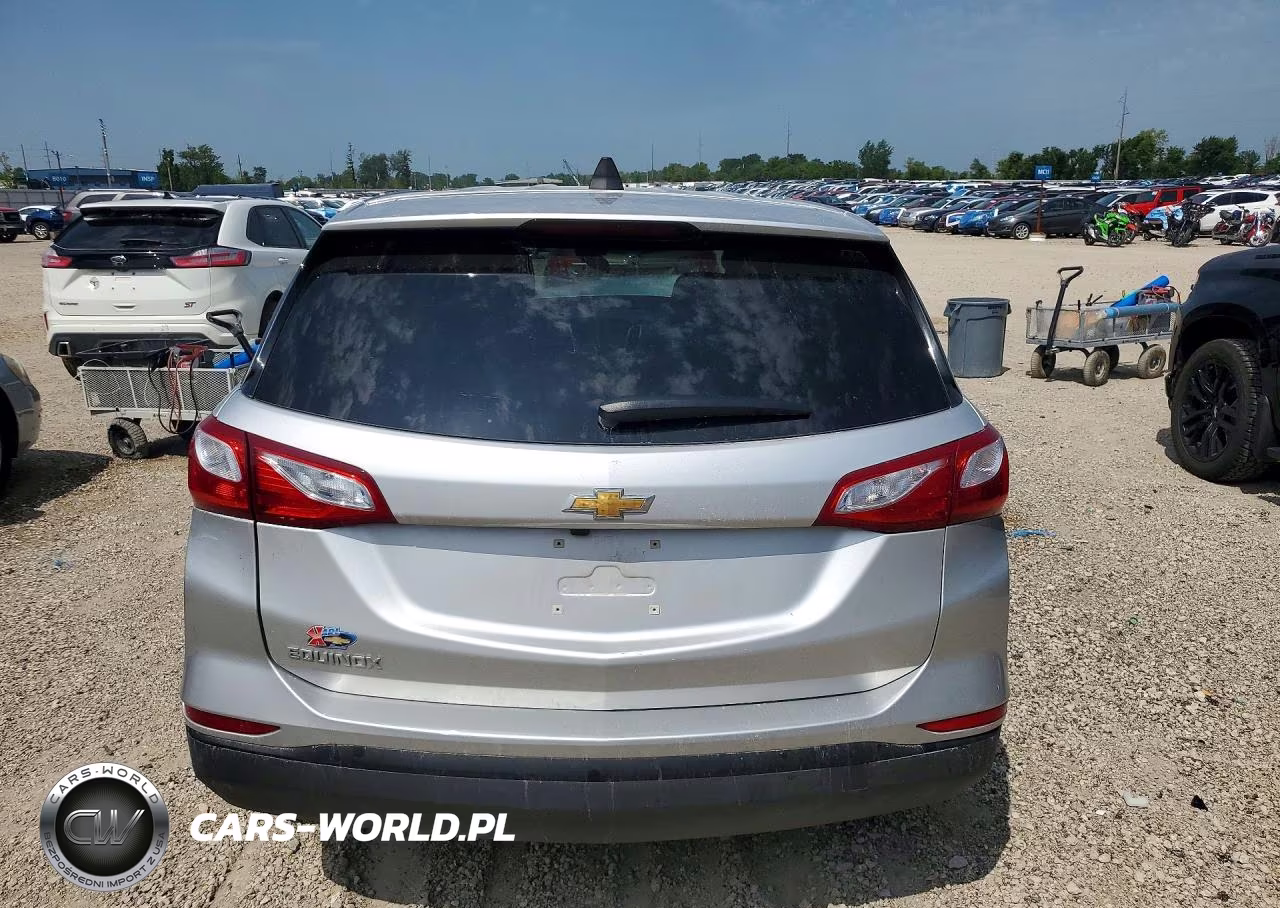 2019 Chevrolet Equinox Ls VIN:3GNAXHEV1KS656584 - 6