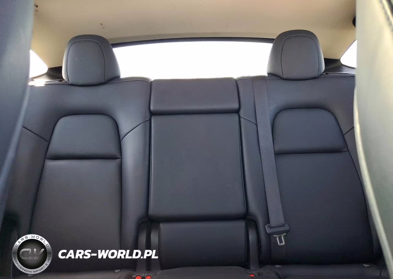 2023 Tesla Model Y VIN:7SAYGDEEXPF924213 - 10