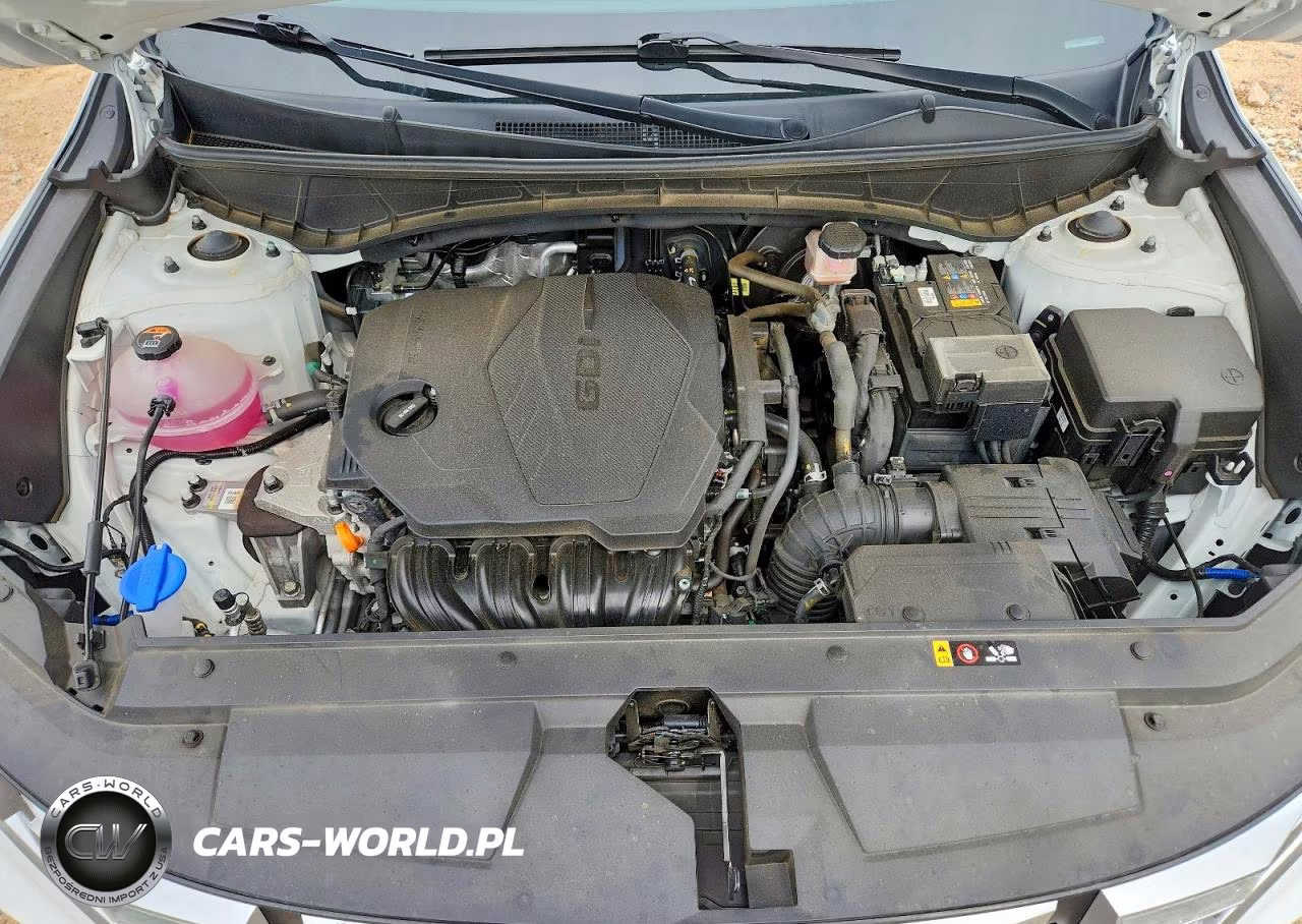 2022 Hyundai Santa Cruz Sel VIN:5NTJCDAE6NH009424 - 11