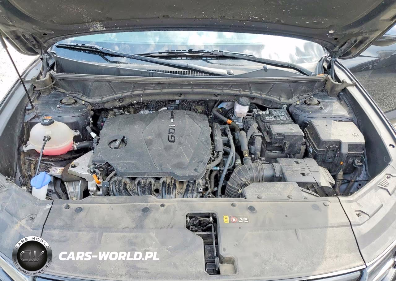 2023 Hyundai Tucson Sel VIN:5NMJBCAE9PH250356 - 12