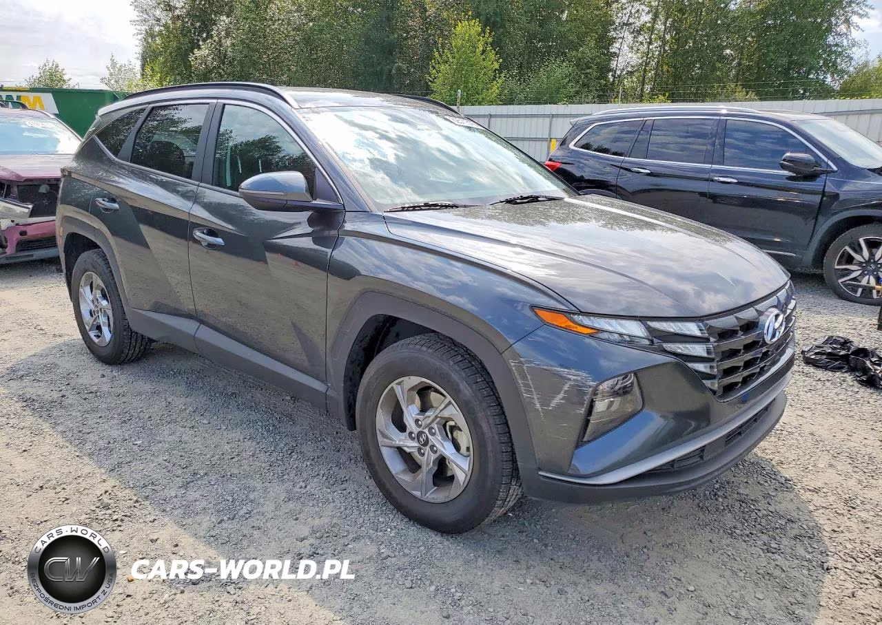 2023 Hyundai Tucson Sel VIN:5NMJBCAE9PH250356 - 4