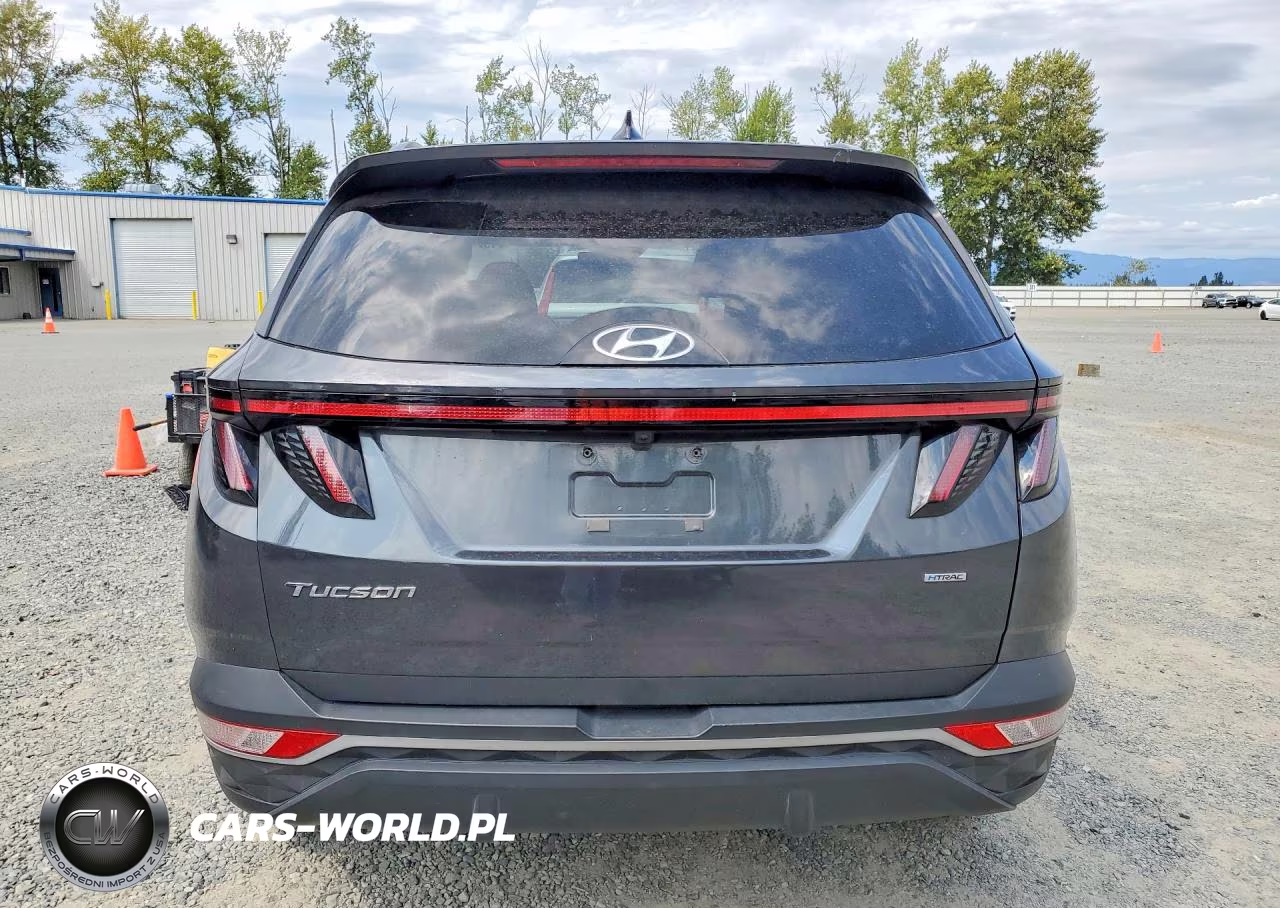 2023 Hyundai Tucson Sel VIN:5NMJBCAE9PH250356 - 6