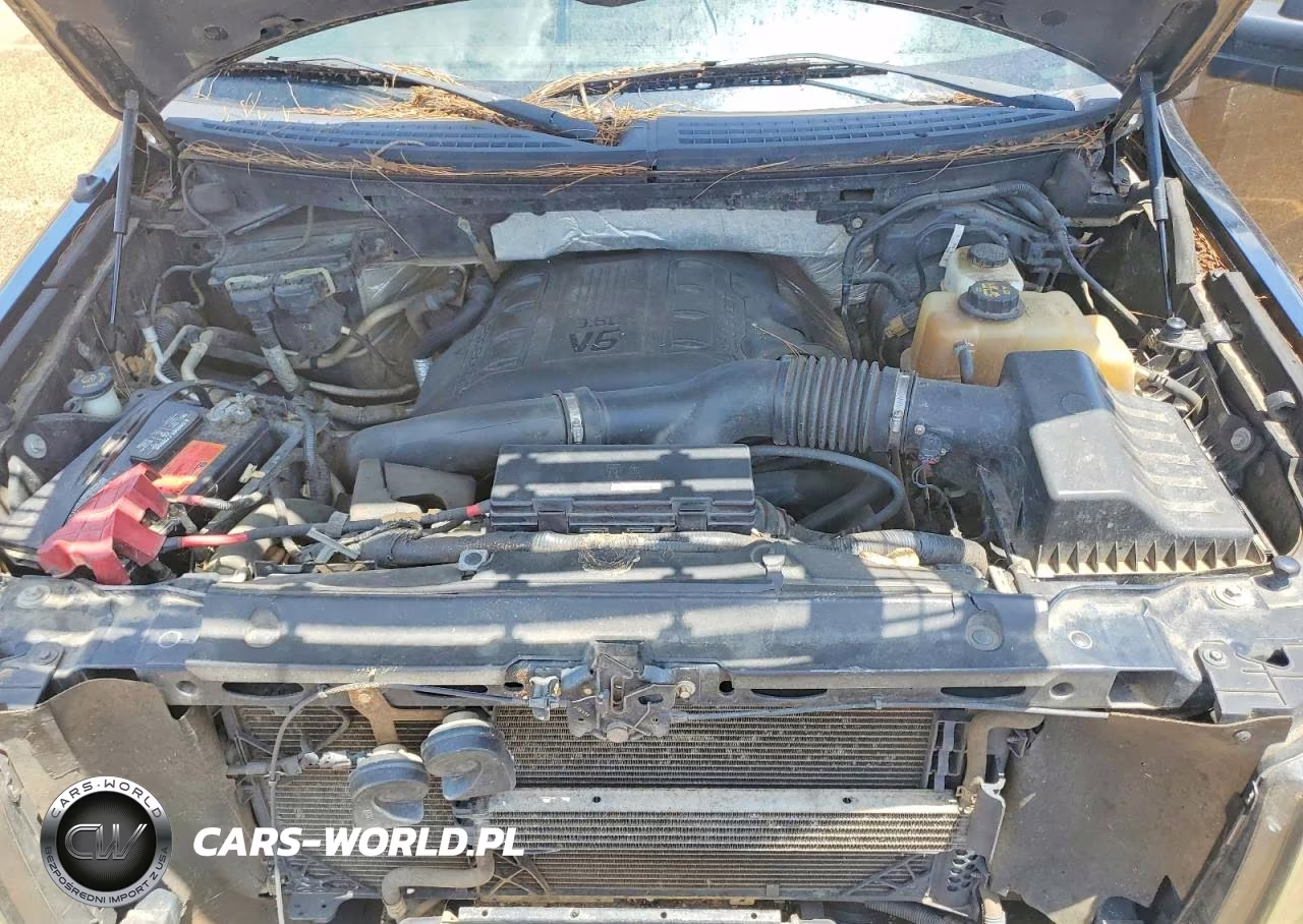 2011 Ford F150 Supercrew VIN:1FTFW1ETXBFB98202 - 11