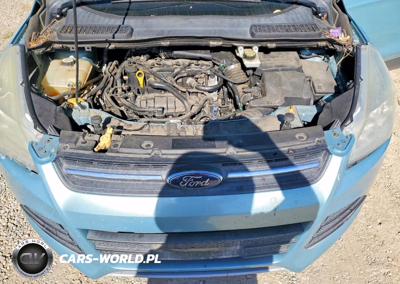 2013 Ford Escape Se VIN:1FMCU0GX4DUB02528 - 11