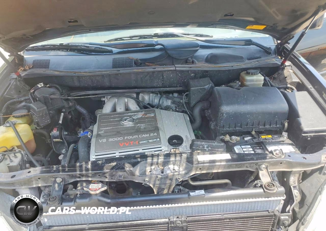 2003 Lexus Rx 300 VIN:JTJGF10U030161410 - 11