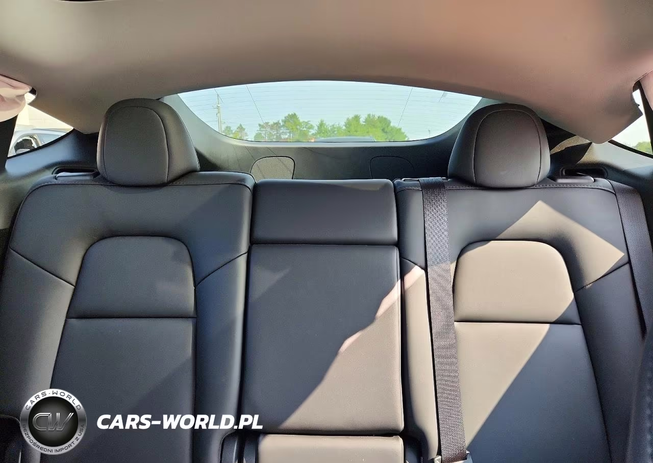 2024 Tesla Model Y VIN:7SAYGDEE5RA246678 - 10