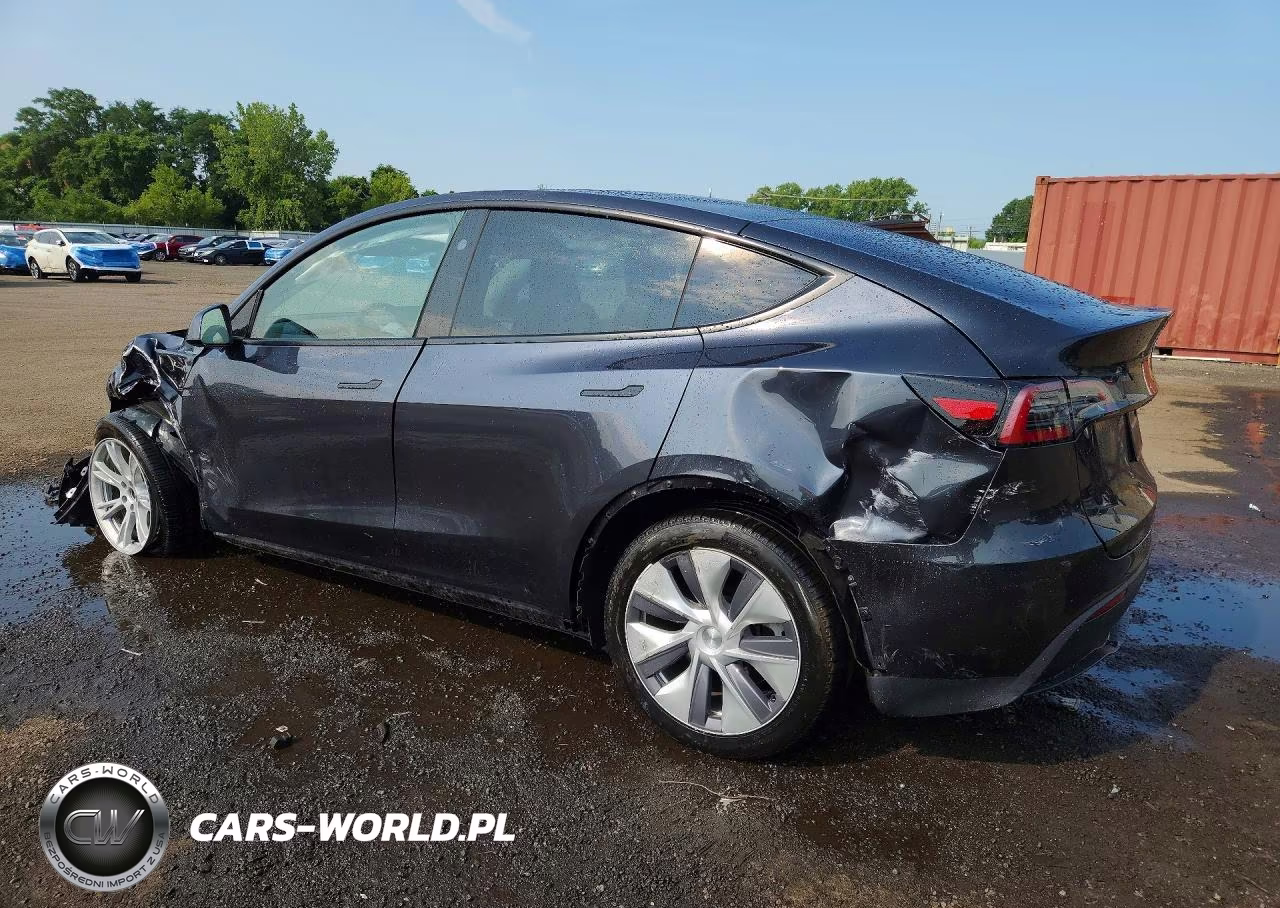 2024 Tesla Model Y VIN:7SAYGDEE5RA246678 - 2