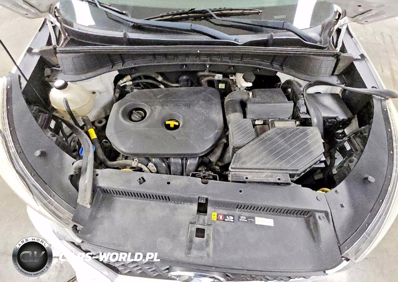 2019 Hyundai Tucson Value VIN:KM8J3CA47KU855106 - 12