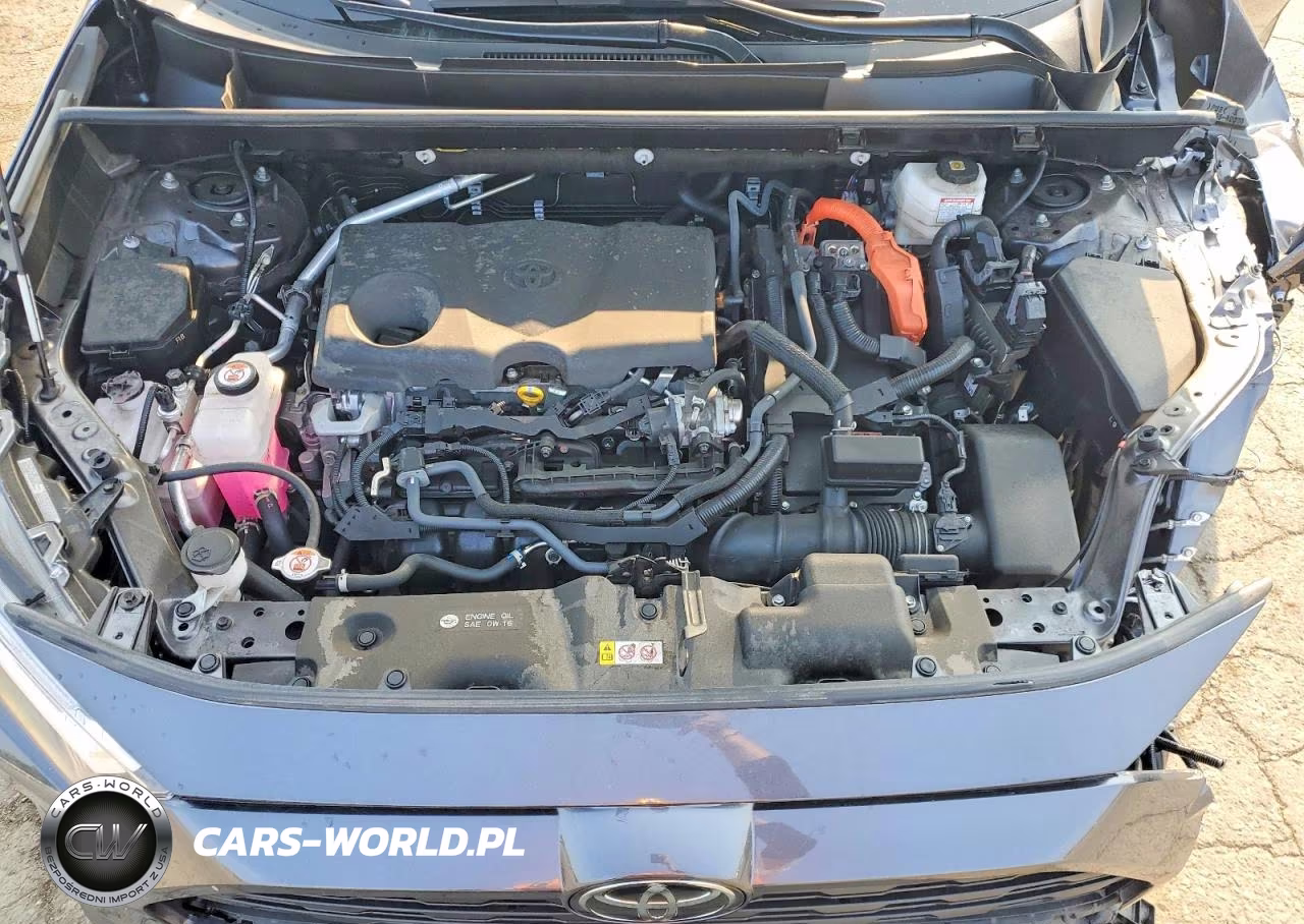 2025 Toyota Rav4 Hybrid Xle VIN:JTMRWRFV5SJ078204 - 12