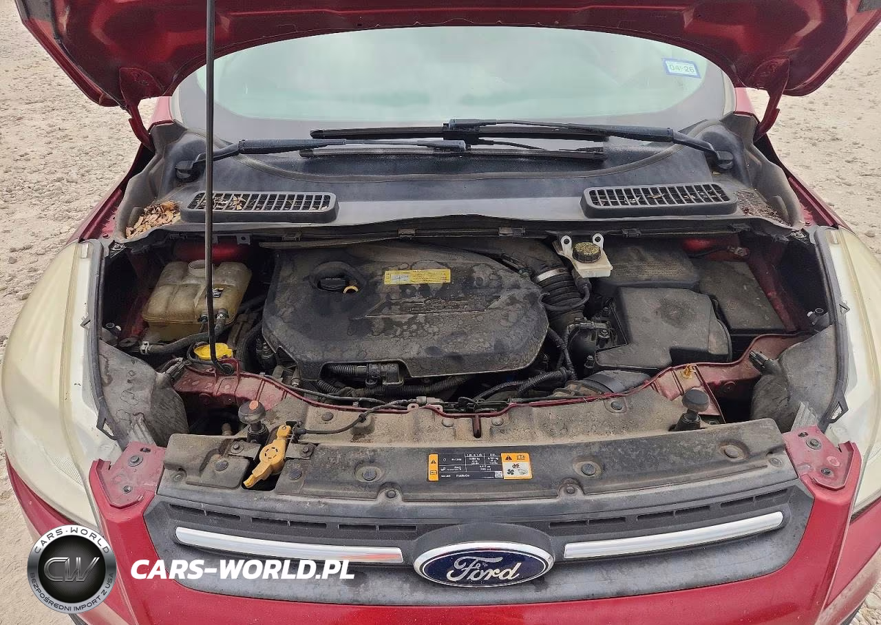 2013 Ford Escape Se VIN:1FMCU0GX2DUB63246 - 12