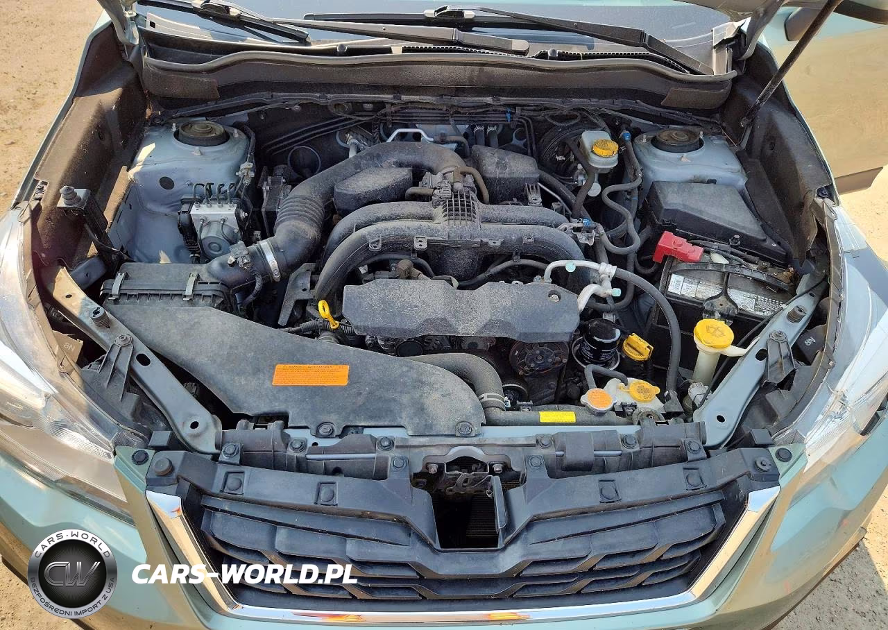 2018 Subaru Forester 2.5I Premium VIN:JF2SJAEC4JH464573 - 12