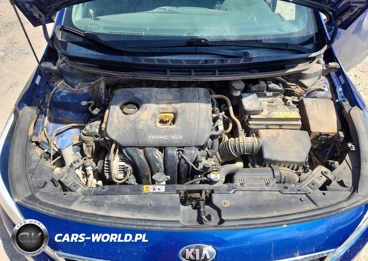 2017 Kia Forte Lx VIN:3KPFK4A77HE123126 - 11