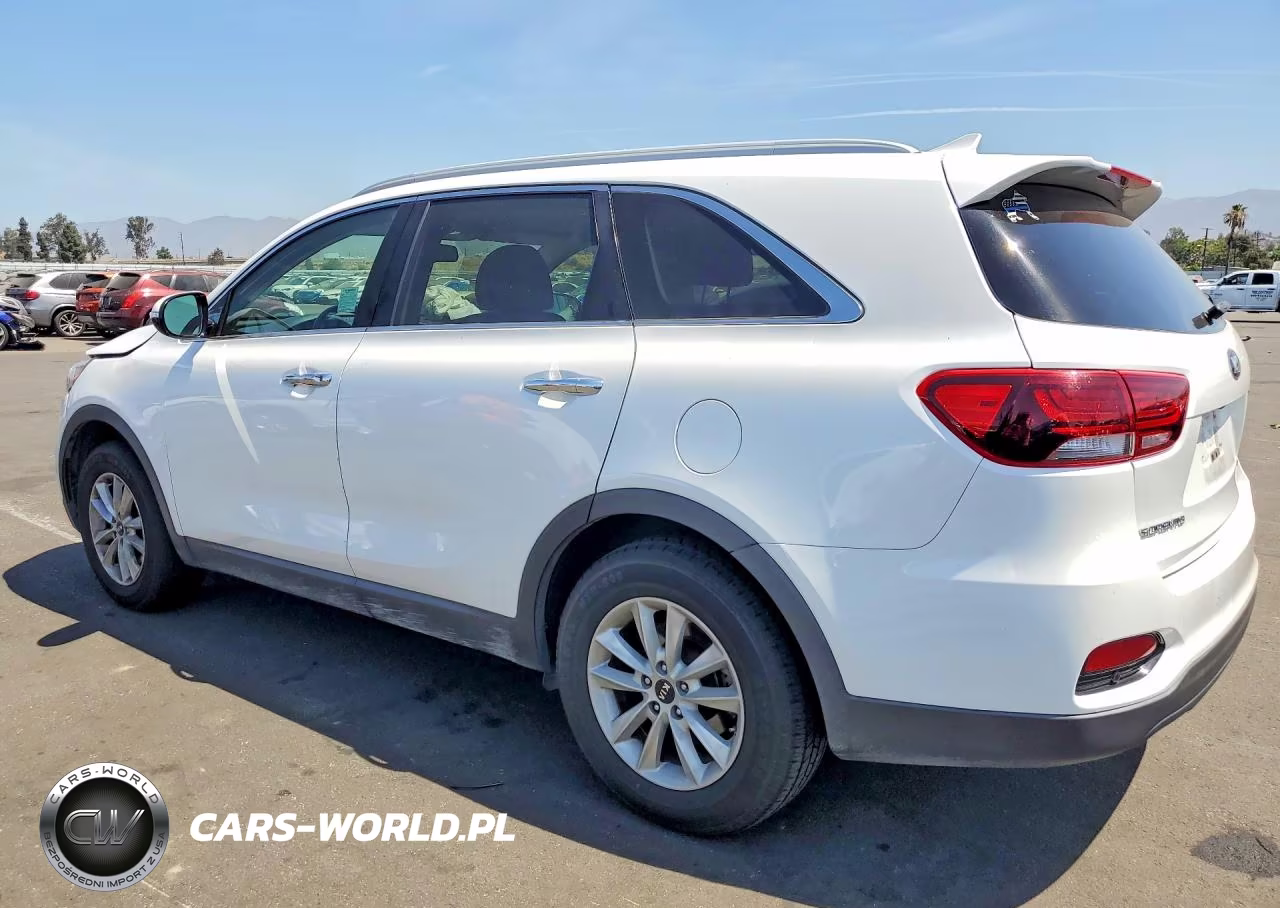 2019 Kia Sorento Lx VIN:5XYPG4A39KG524609 - 2