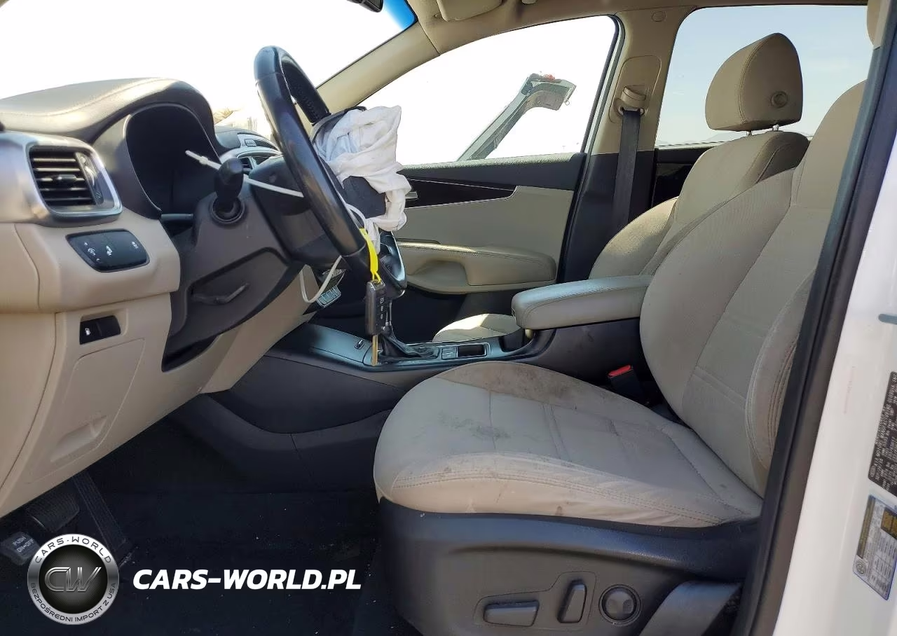 2019 Kia Sorento Lx VIN:5XYPG4A39KG524609 - 7