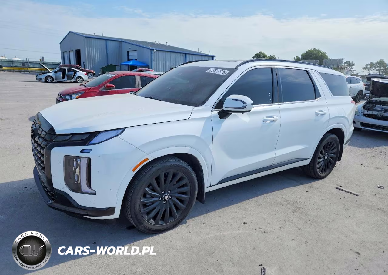 2024 Hyundai Palisade Calligraphy Night Edition VIN:KM8R7DGE7RU775652 - 1