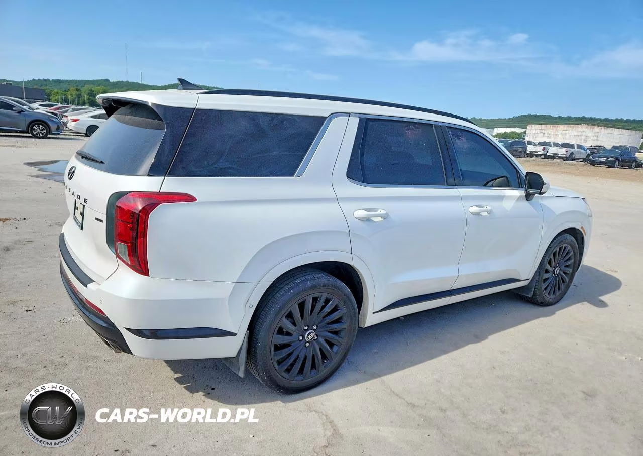 2024 Hyundai Palisade Calligraphy Night Edition VIN:KM8R7DGE7RU775652 - 3