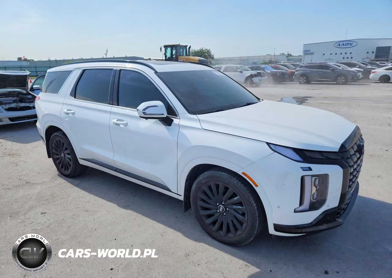 2024 Hyundai Palisade Calligraphy Night Edition VIN:KM8R7DGE7RU775652 - 4
