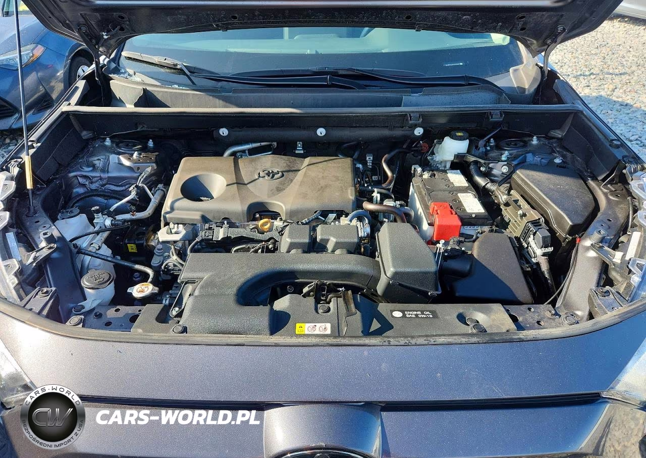 2025 Toyota Rav4 Xle VIN:2T3W1RFV4SC315902 - 12