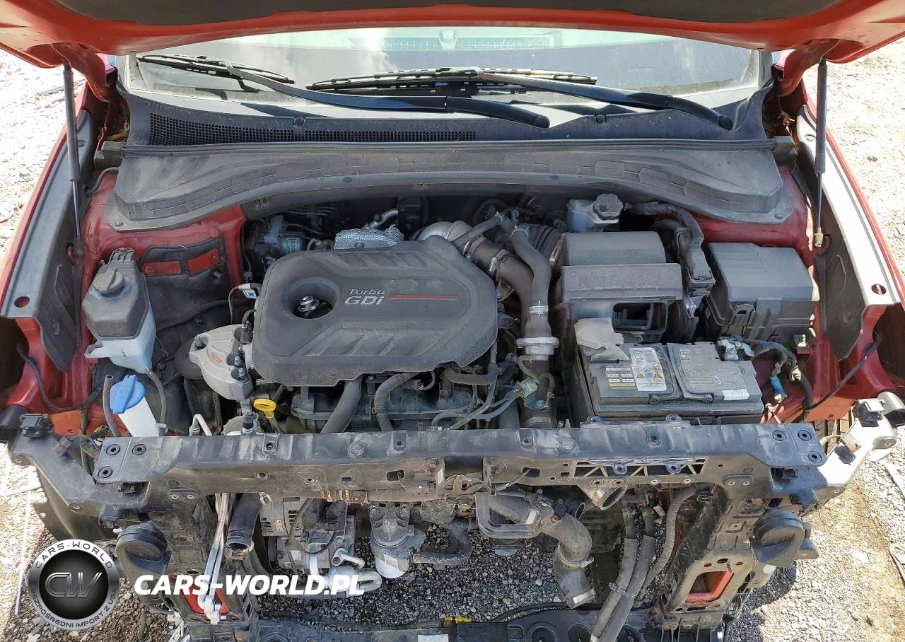 2019 Hyundai Santa Fe Limited 2.0T VIN:5NMS5CAA8KH070707 - 12