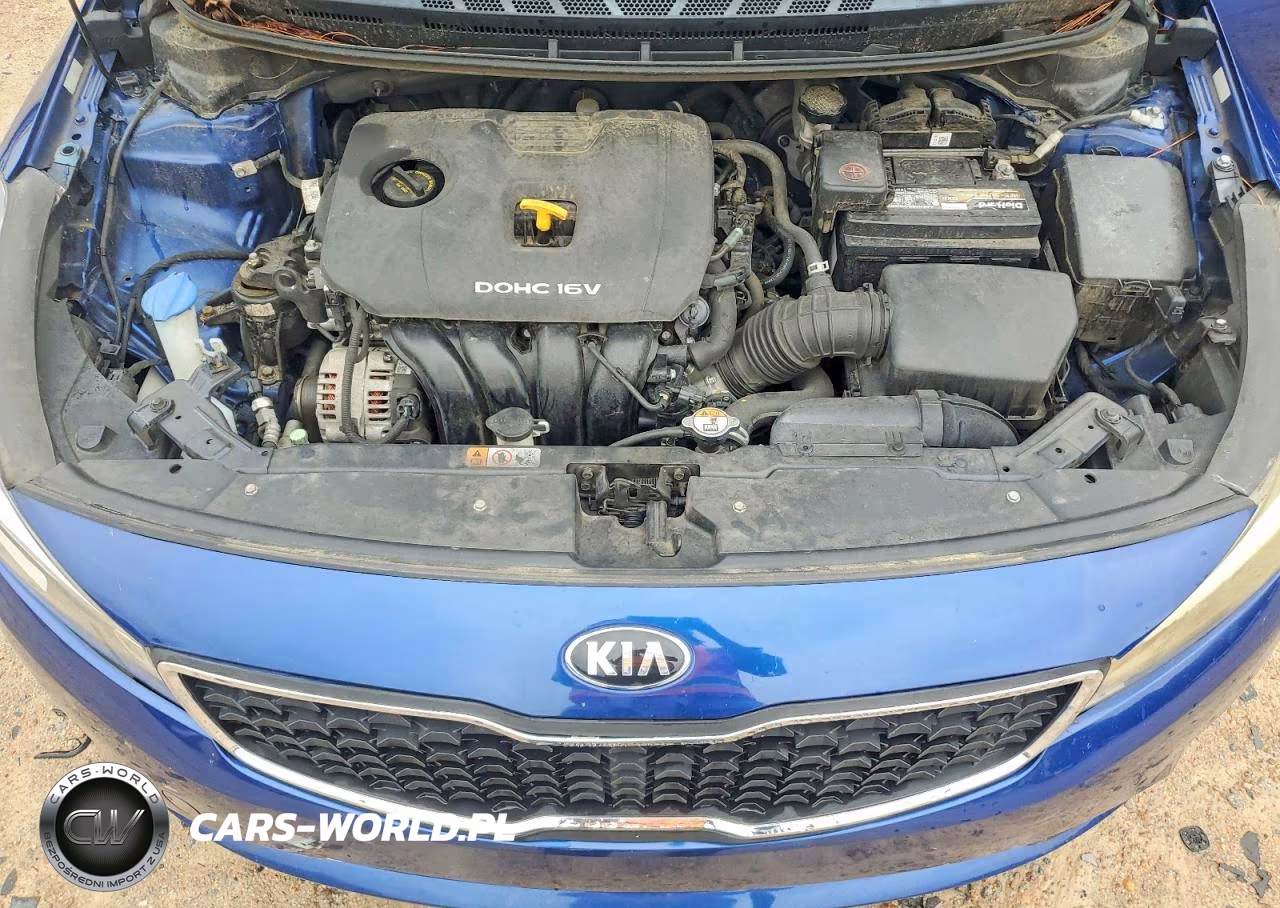 2017 Kia Forte Lx VIN:3KPFL4A76HE124877 - 11