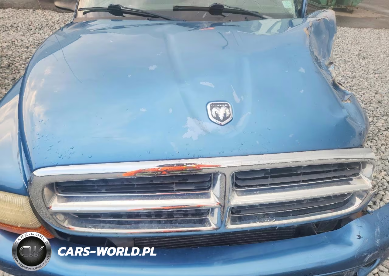 2003 Dodge Durango Slt VIN:1D4HR48Z63F610959 - 11