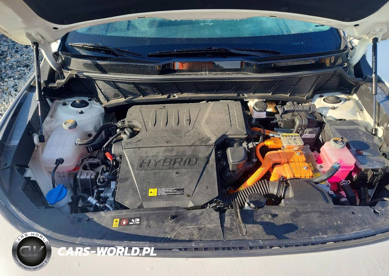 2024 Kia Niro Ex VIN:KNDCR3LE4R5142699 - 11