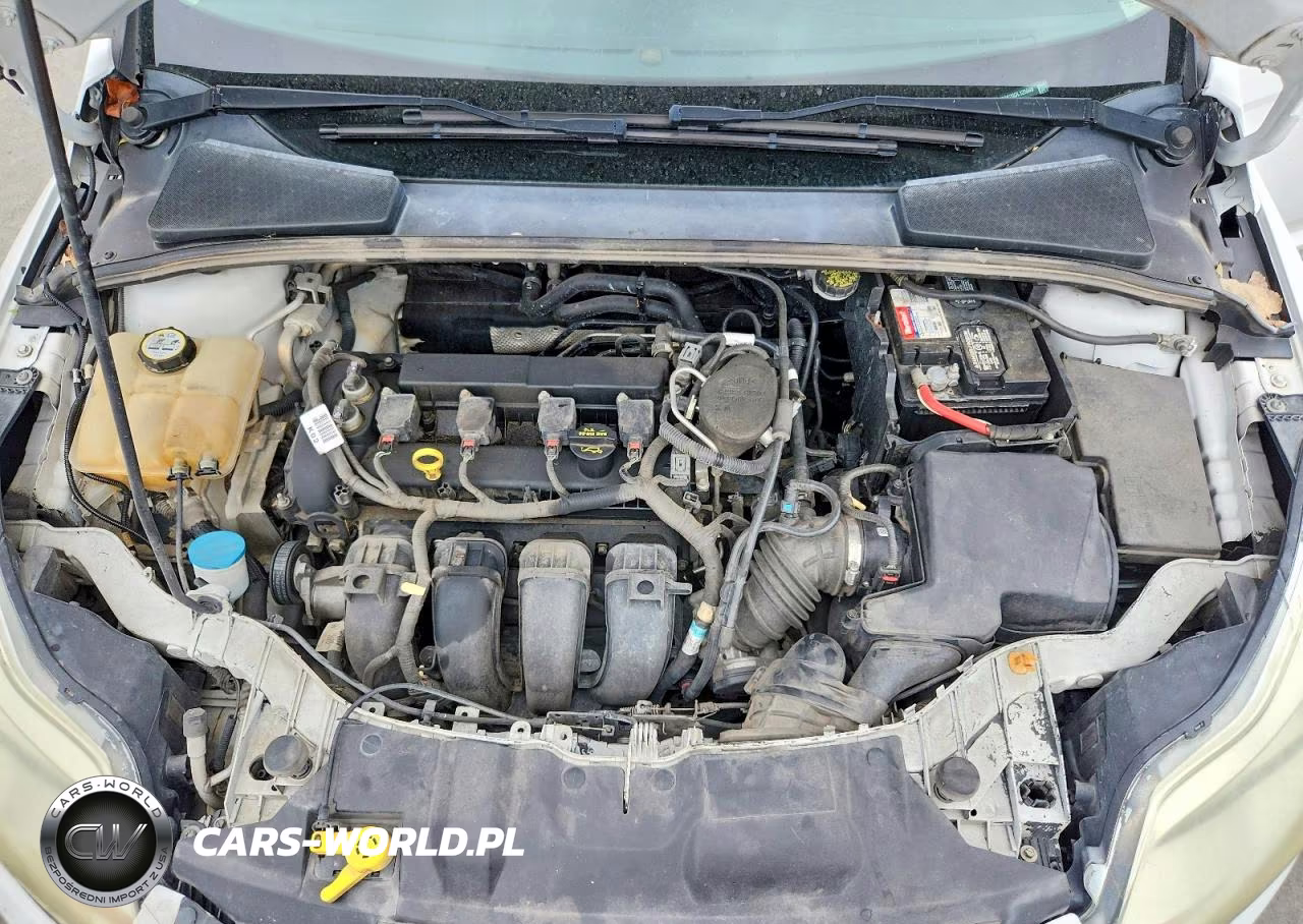 2013 Ford Focus Se VIN:1FADP3K20DL125569 - 11