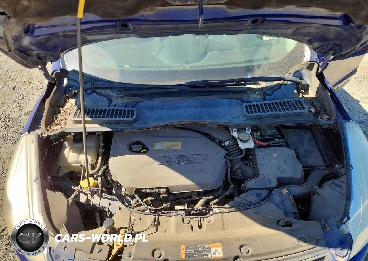 2014 Ford Escape Se VIN:1FMCU0GX0EUC94094 - 11