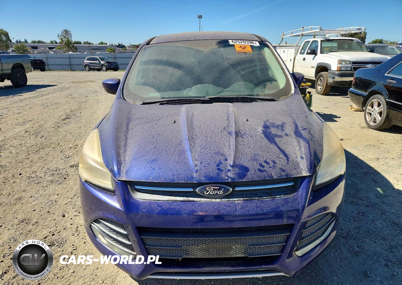 2014 Ford Escape Se VIN:1FMCU0GX0EUC94094 - 5